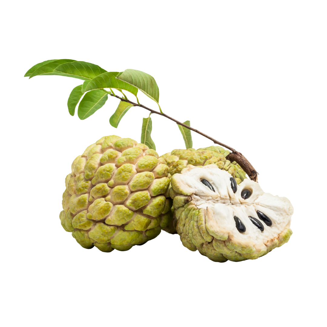 Custard Apple