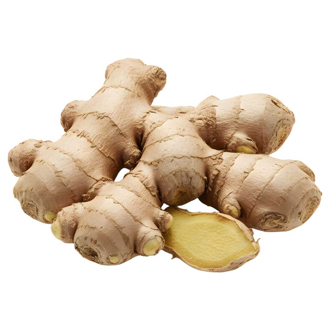 Indian Ginger